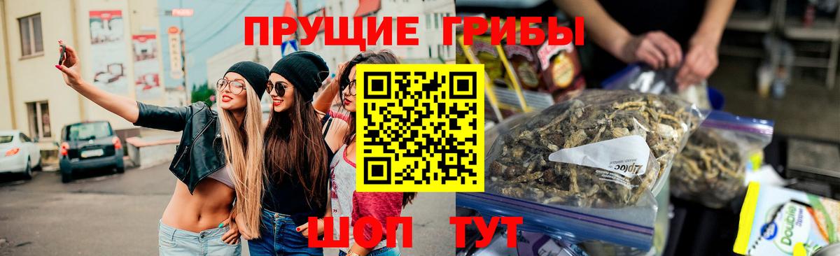 Вышний Волочёк  Псилоцибиновые грибы мухоморы  Вход с VPN 